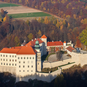 Ojcow, Zamek Krolewski w Pieskowej Skale. EU, PL, Malopolska. Lotnicze.